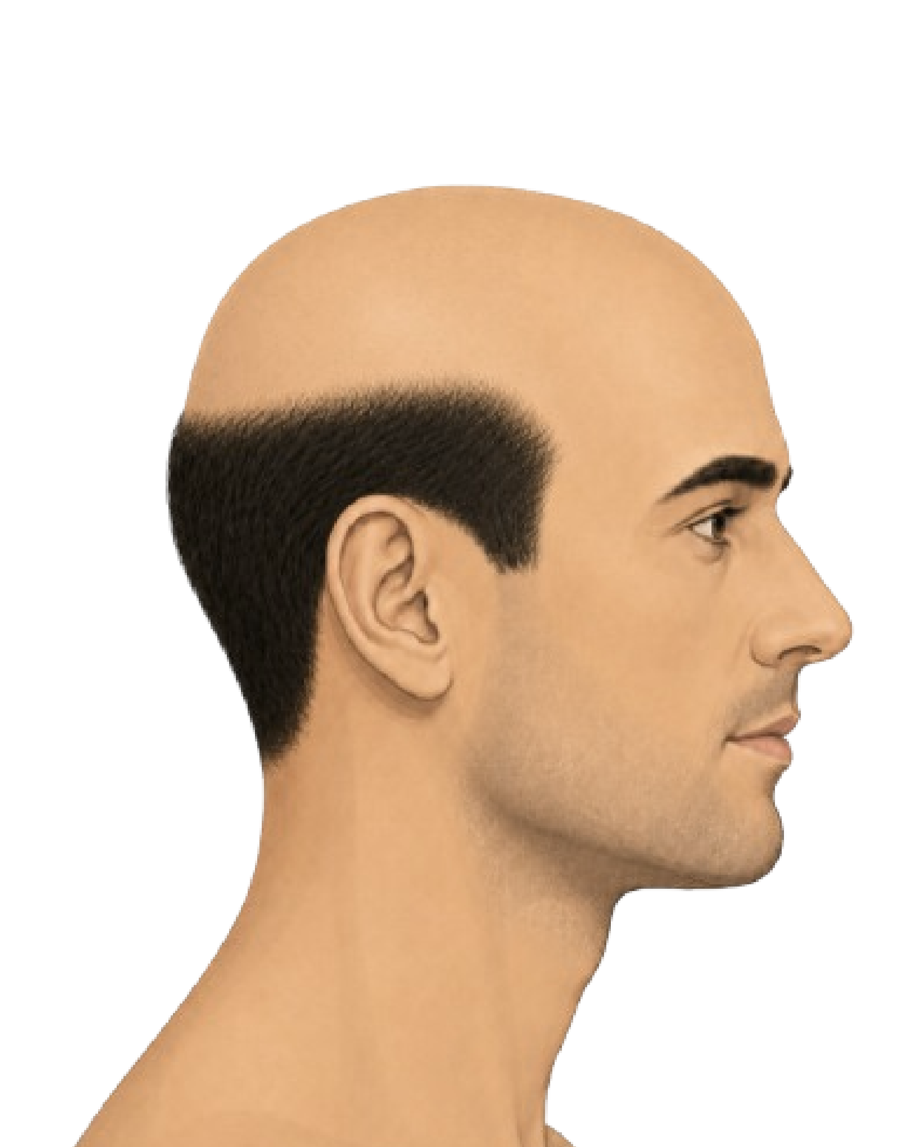 Stage 7